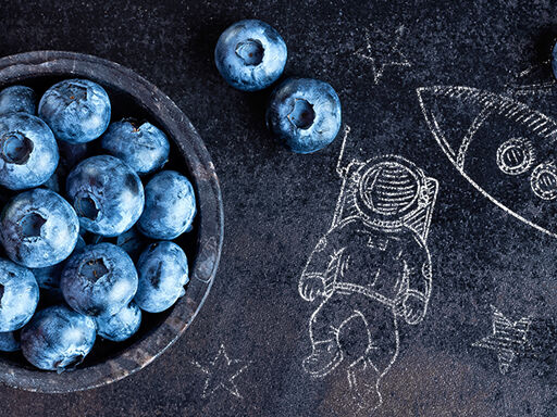 Space_age_berries-1338x460