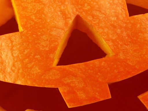 Why_is_this_pumpkin_smiling-1338x460