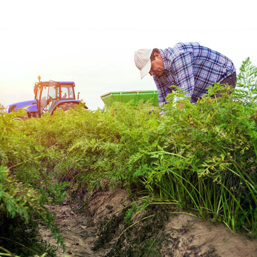 Photo of employee in a field