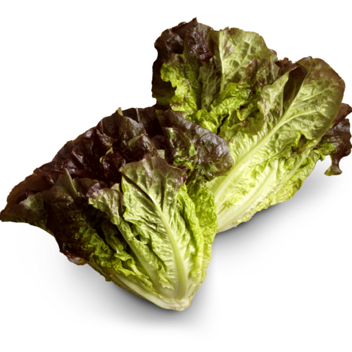 Photo of Red Leaf Lettuce